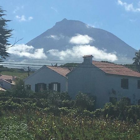 Home Pico - Casa Dos Cedros Criacao Velha Kültér fotó