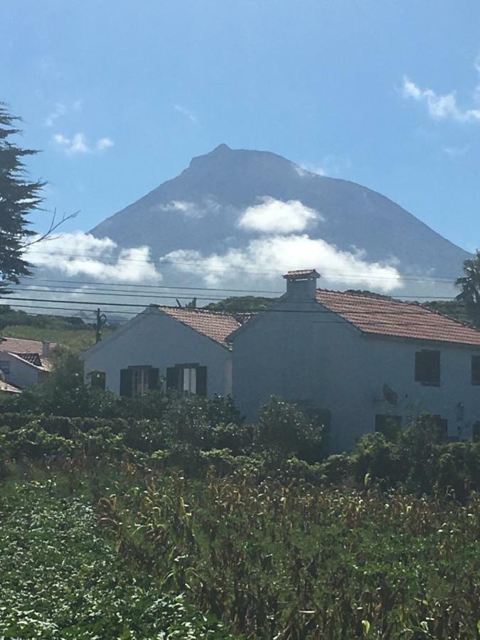 Home Pico - Casa Dos Cedros Criacao Velha Kültér fotó